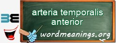 WordMeaning blackboard for arteria temporalis anterior